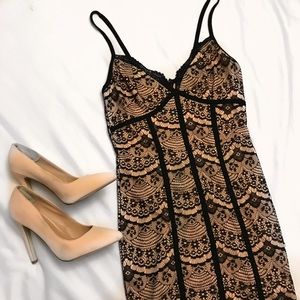Tobi lace bodycon dress, small